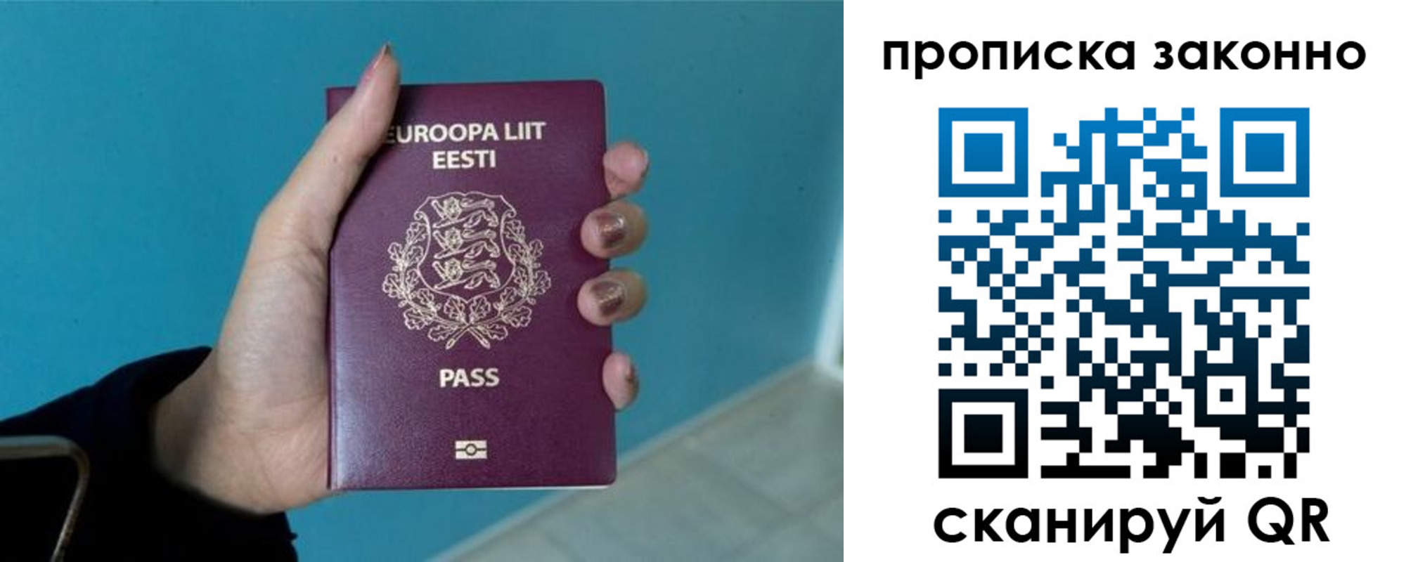 прописка гарантия в Борзе